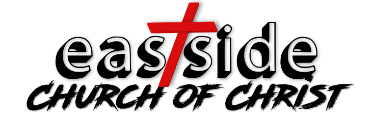 Logo for Through the Maze